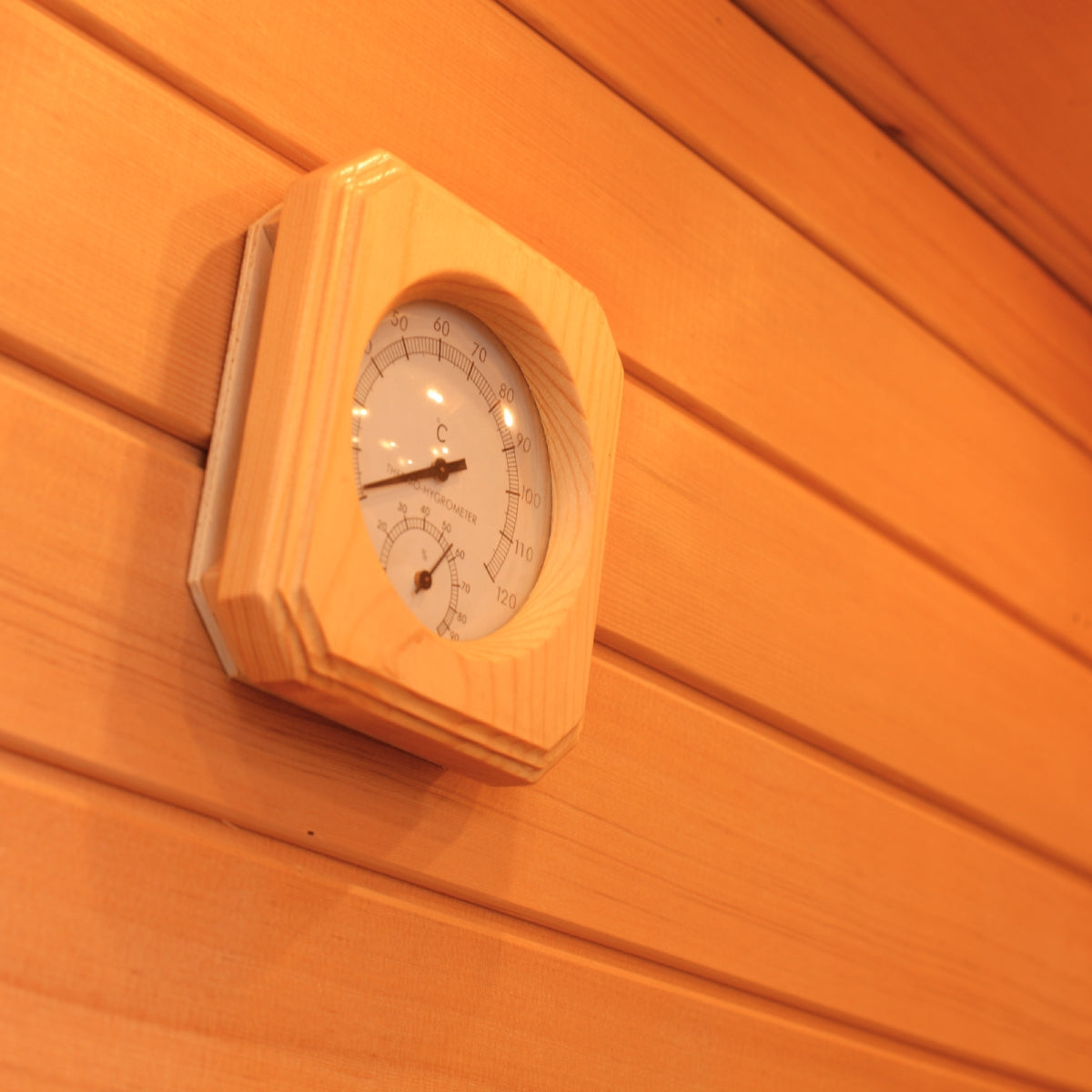 Traditional Sauna with Steam System | CTS - 03